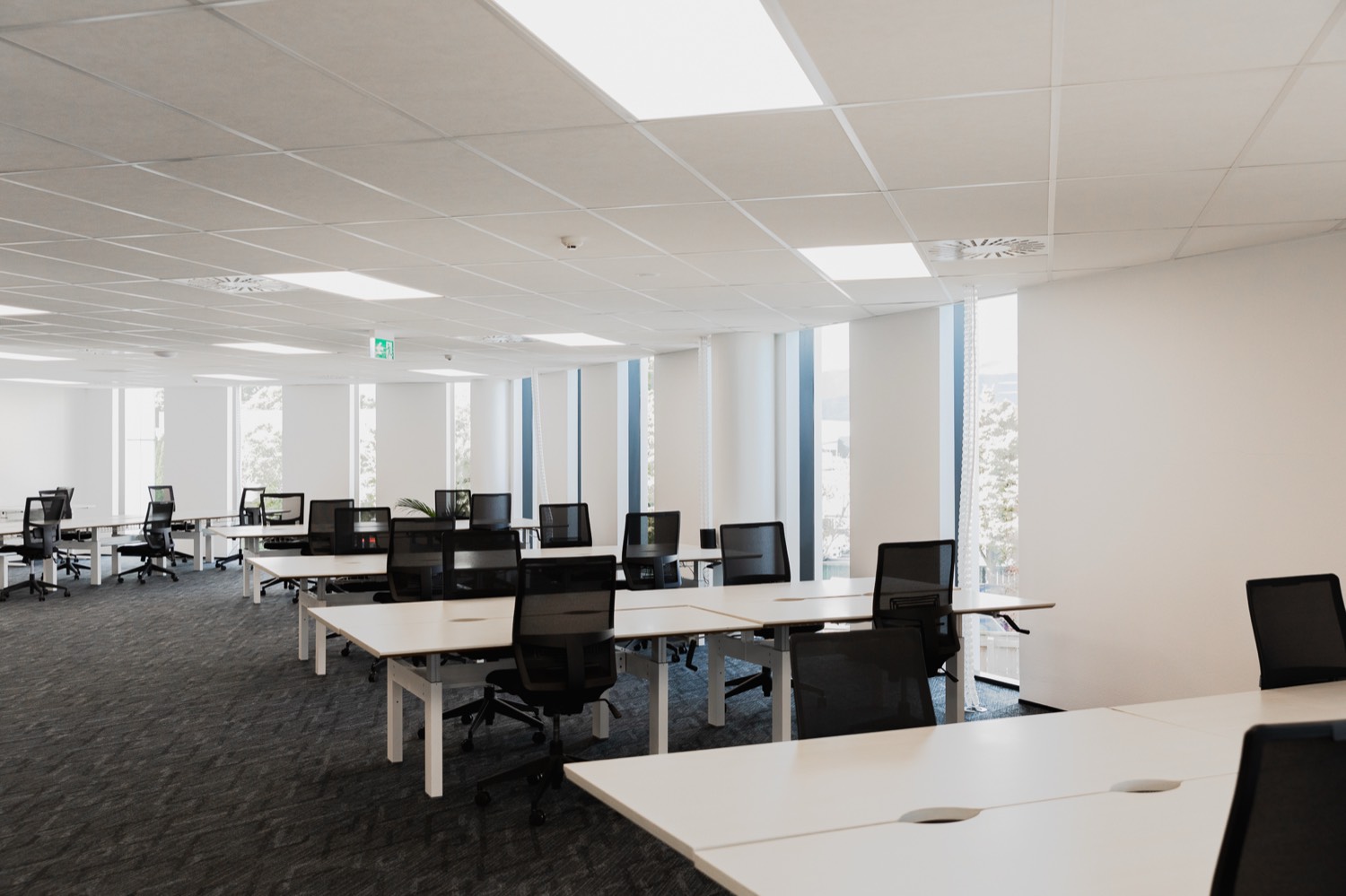 Open coworking workspace